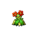 182 Bellossom icon